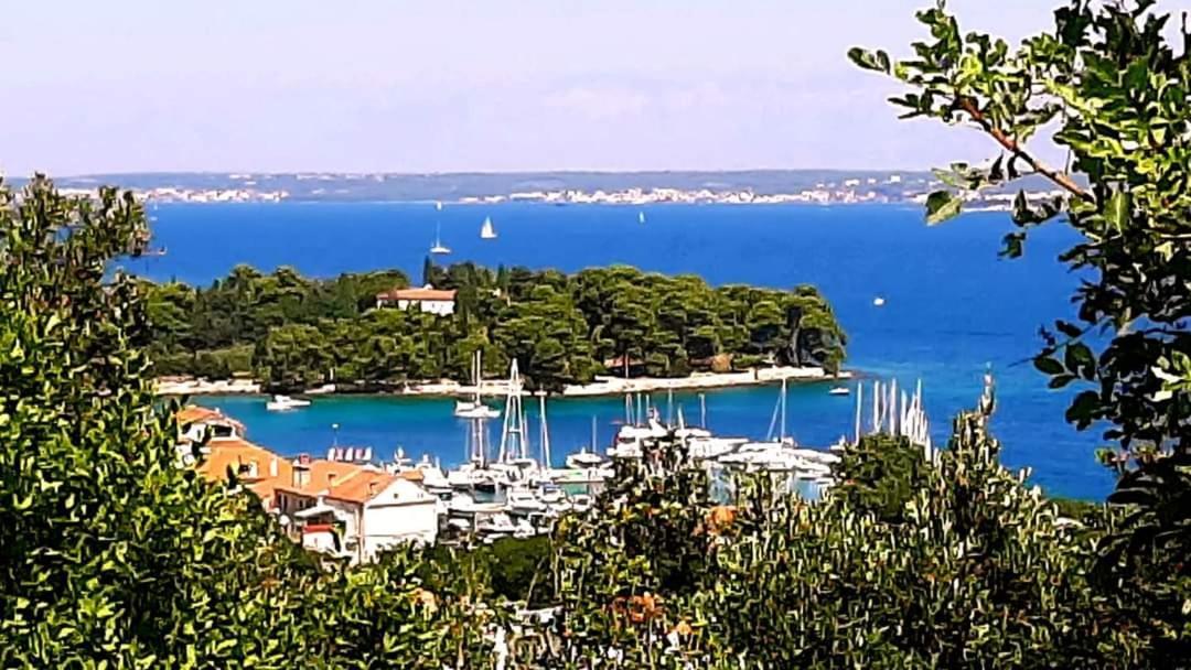 Relax Διαμέρισμα Preko Εξωτερικό φωτογραφία